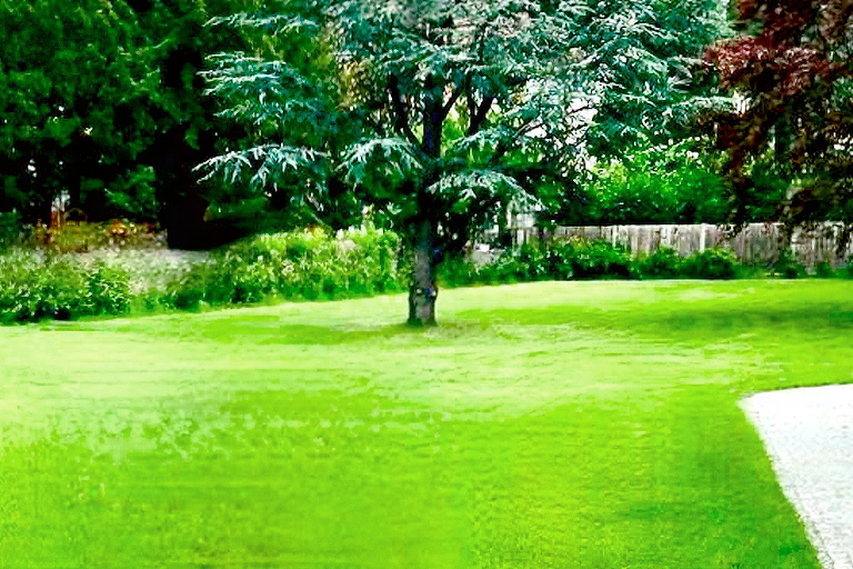 gartenpflege